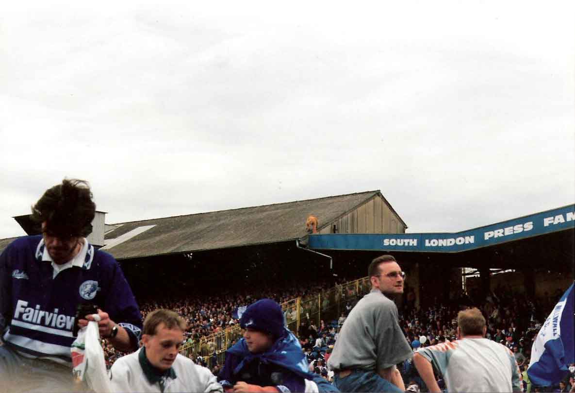After Final Whistle: Lion on the Roof